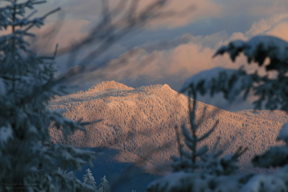 Hoher Bogen Hoher Bogen