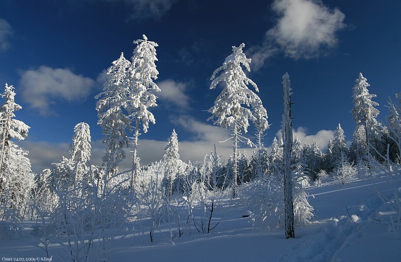 Blauer Himmel Osserwiese