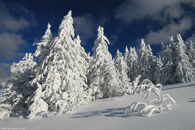 Winter an der Osserwiese