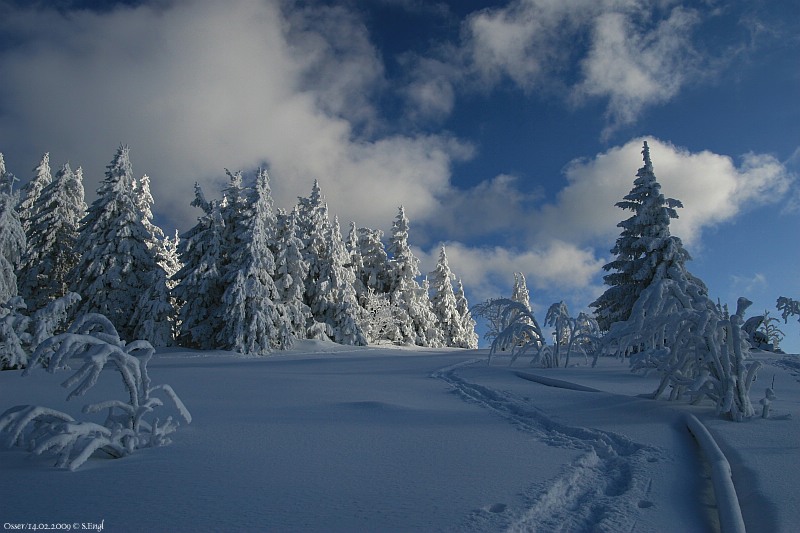 Lichstimmung Osserwiese