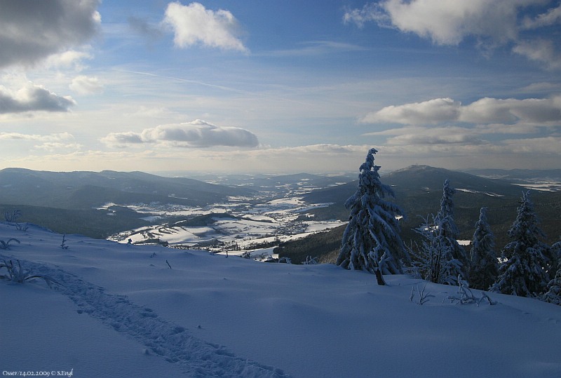 Osserwiese Lamer Winkel