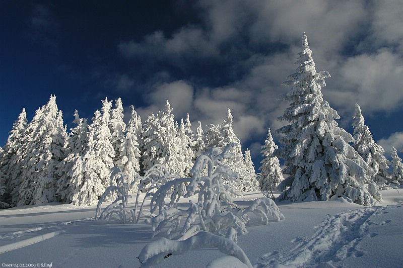 Osserwiese Winterstimmung