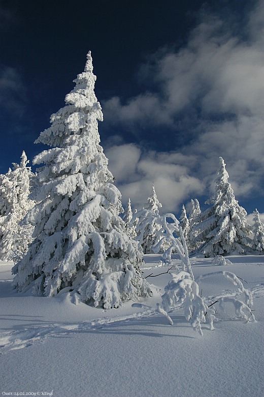 Osserwiese Winterstimmung