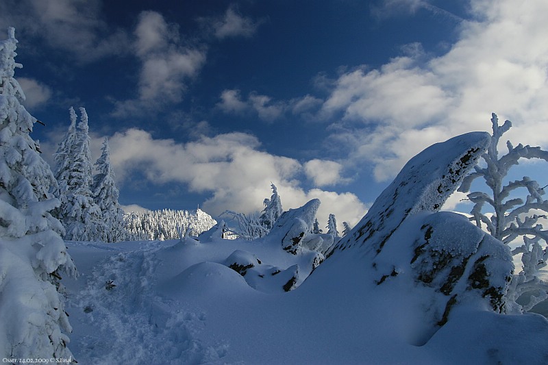 Osserwiese Hochwinter