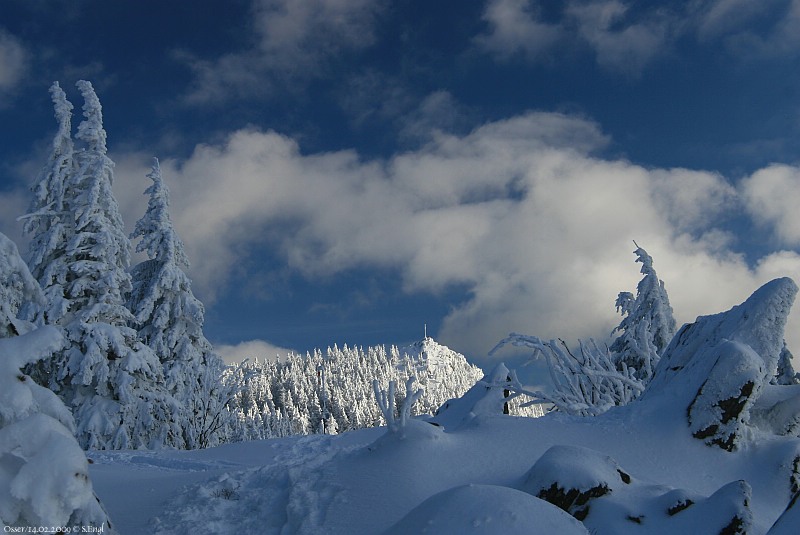 Osserwiese Kleiner Osser