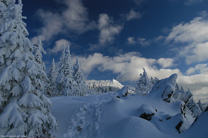 Osserwiese Kleiner Osser