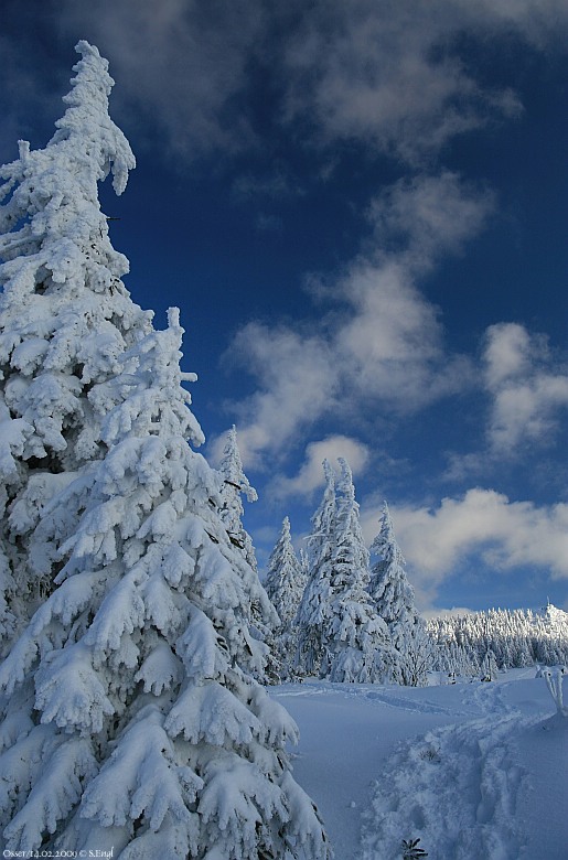 Osserwiese Kleiner Osser