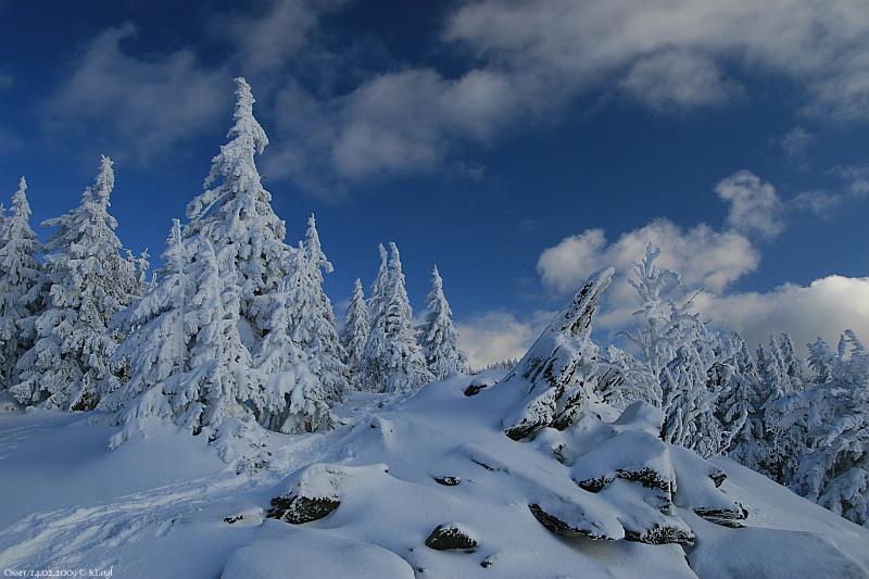 Osserwiese Winter Glimmerschiefer