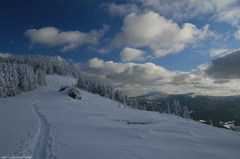 Osserwiese Großer Arber