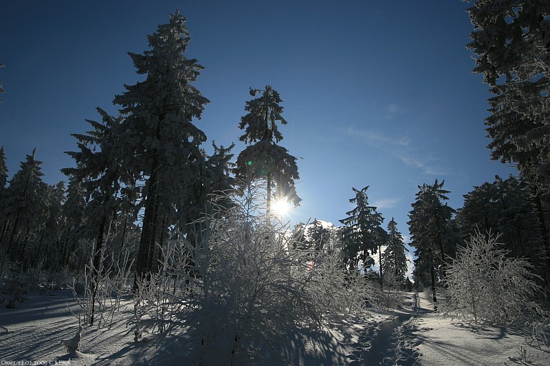 Winterstimmung Osserwiese