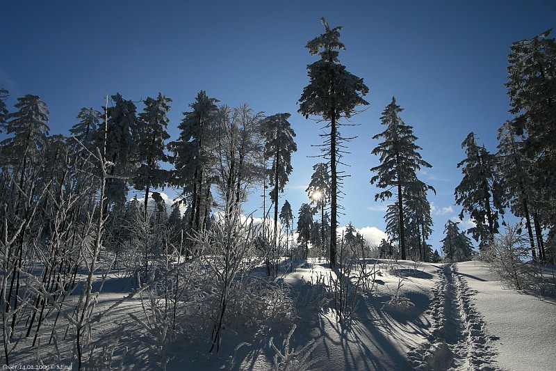 Aufstieg zur Osserwiese