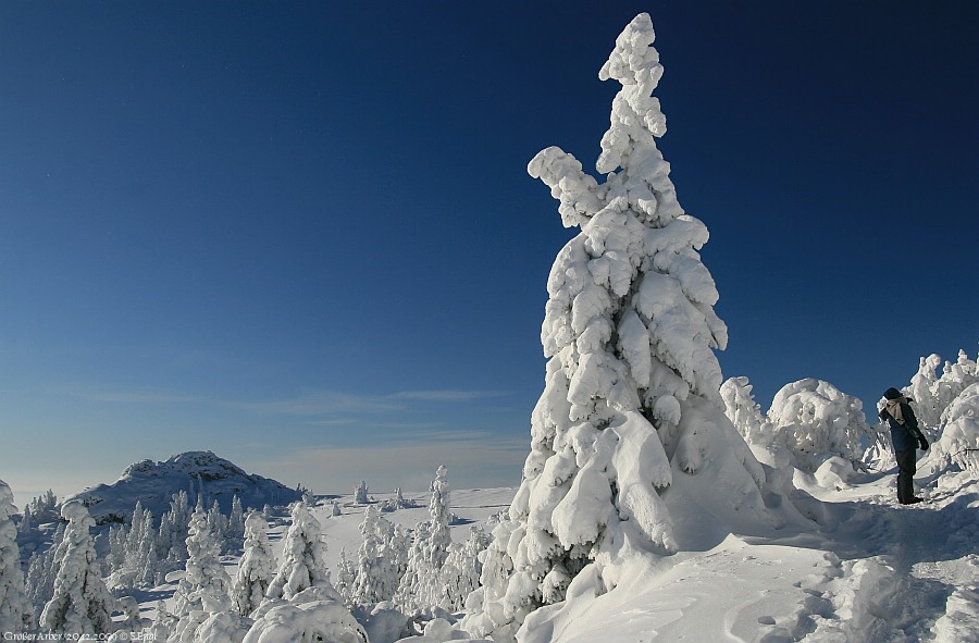 Arbergipfel Richard Wagner Kopf