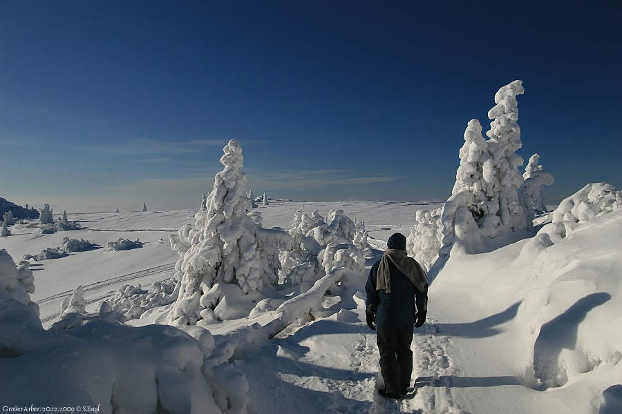 Grosser Arber Hochwinter