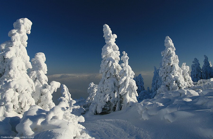 Arbergipfel Falkenstein
