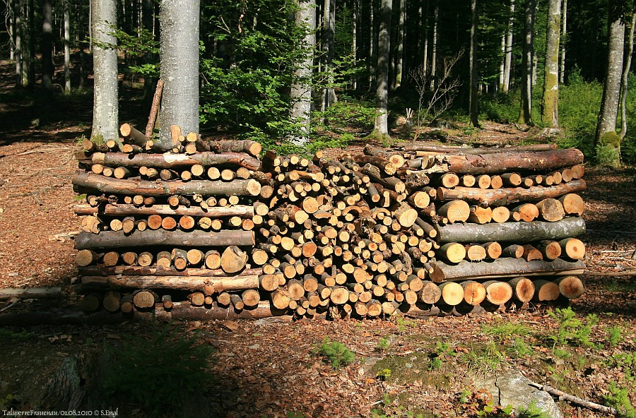 Holzstoss