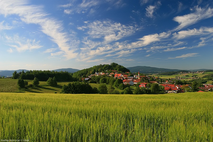 Bayerischer Wald Runding
