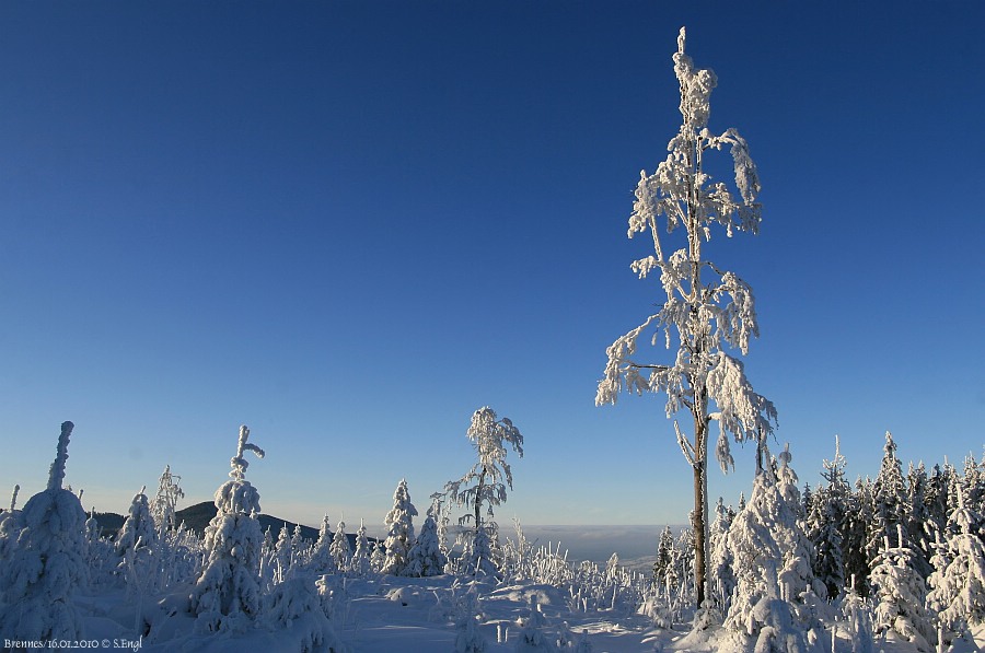 Brennes Großer Arber