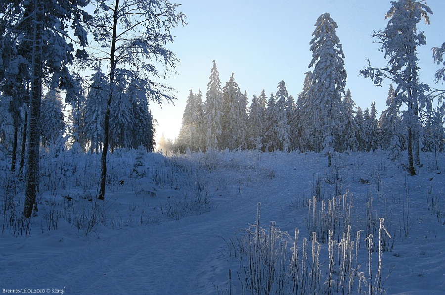 Brennes Großer Arber