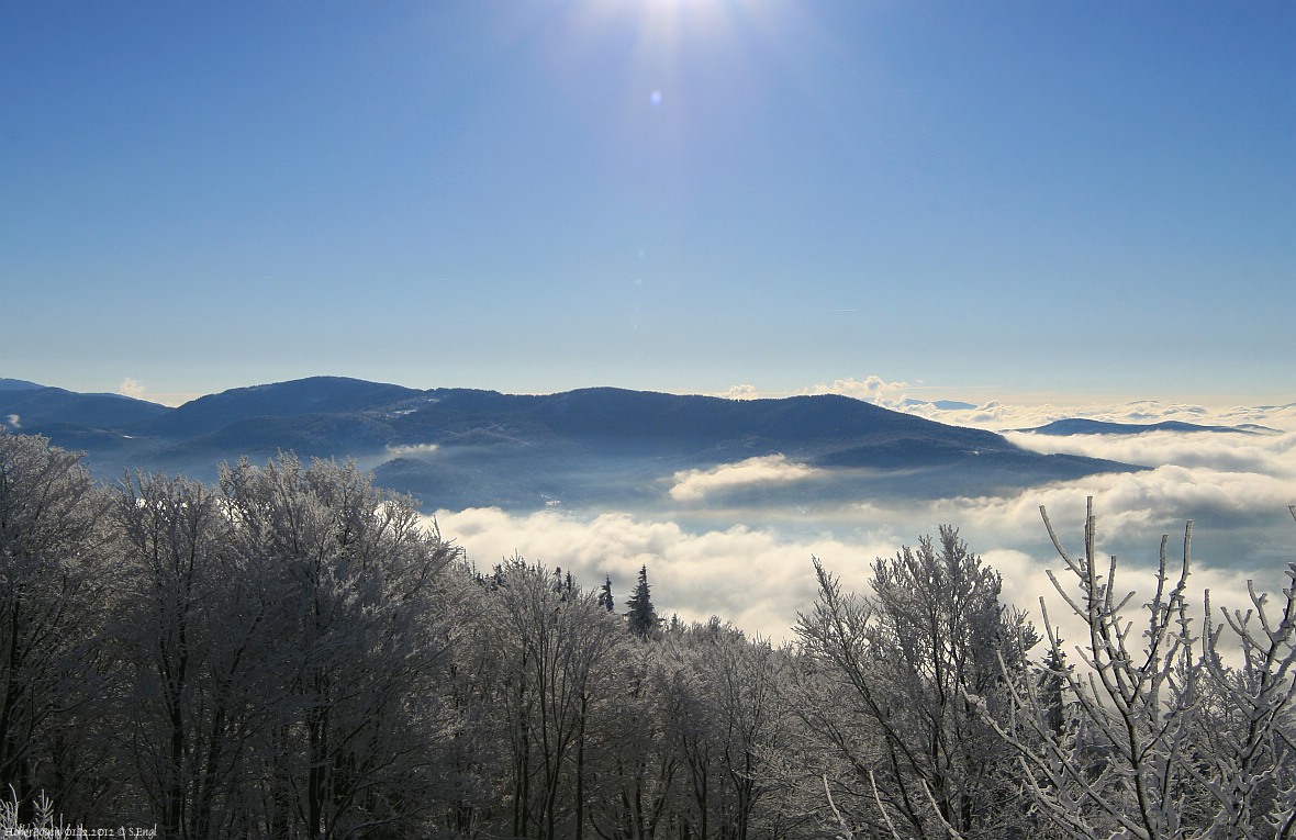 Bayerischer Wald Neuschnee am Hohen Bogen Bayerischer Wald Neuschnee am Hohen Bogen