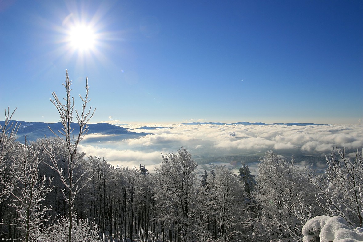 Bayerischer Wald Neuschnee am Hohen Bogen Bayerischer Wald Neuschnee am Hohen Bogen