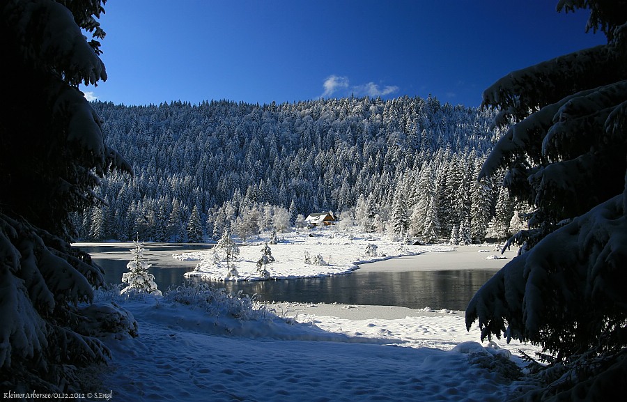 Kleiner Arbersee Waldweg
