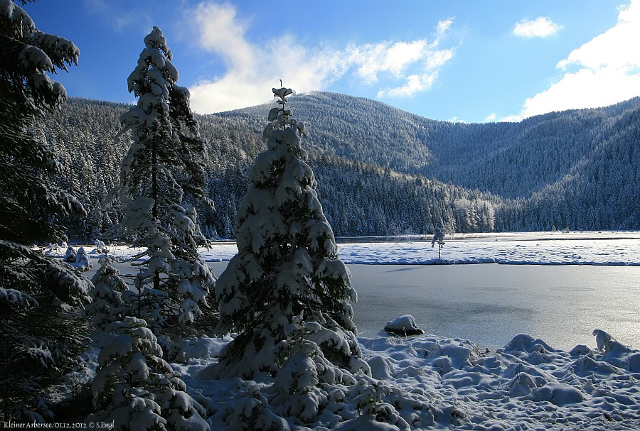 Arbersee Lichtstimmung