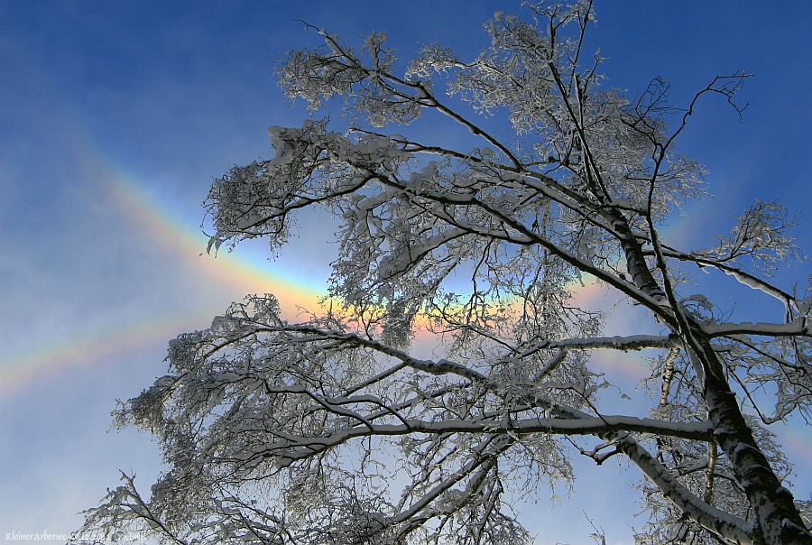Kleiner Arbersee Halo