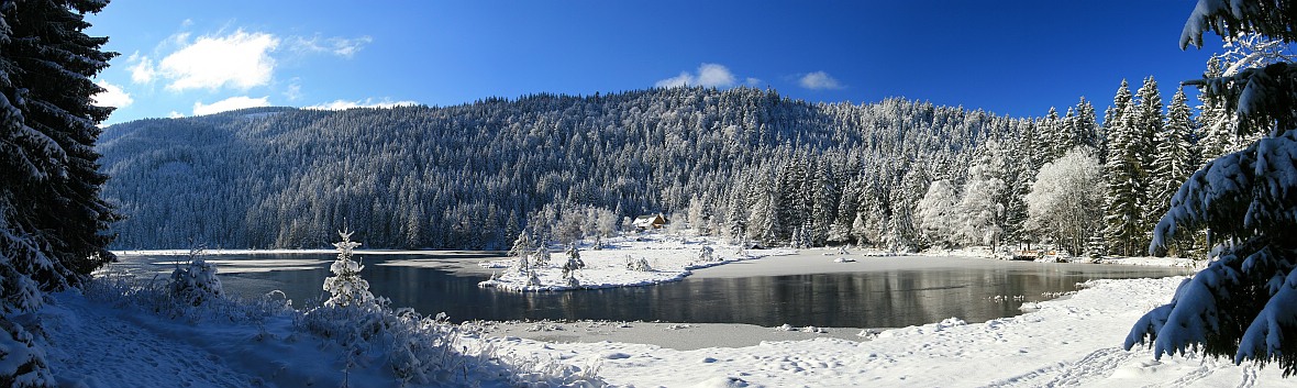 Arbersee Panorama