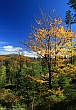 Waldhäuserriegel Herbst