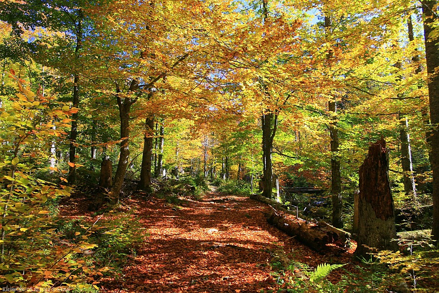 Kleine Ohe Wanderweg