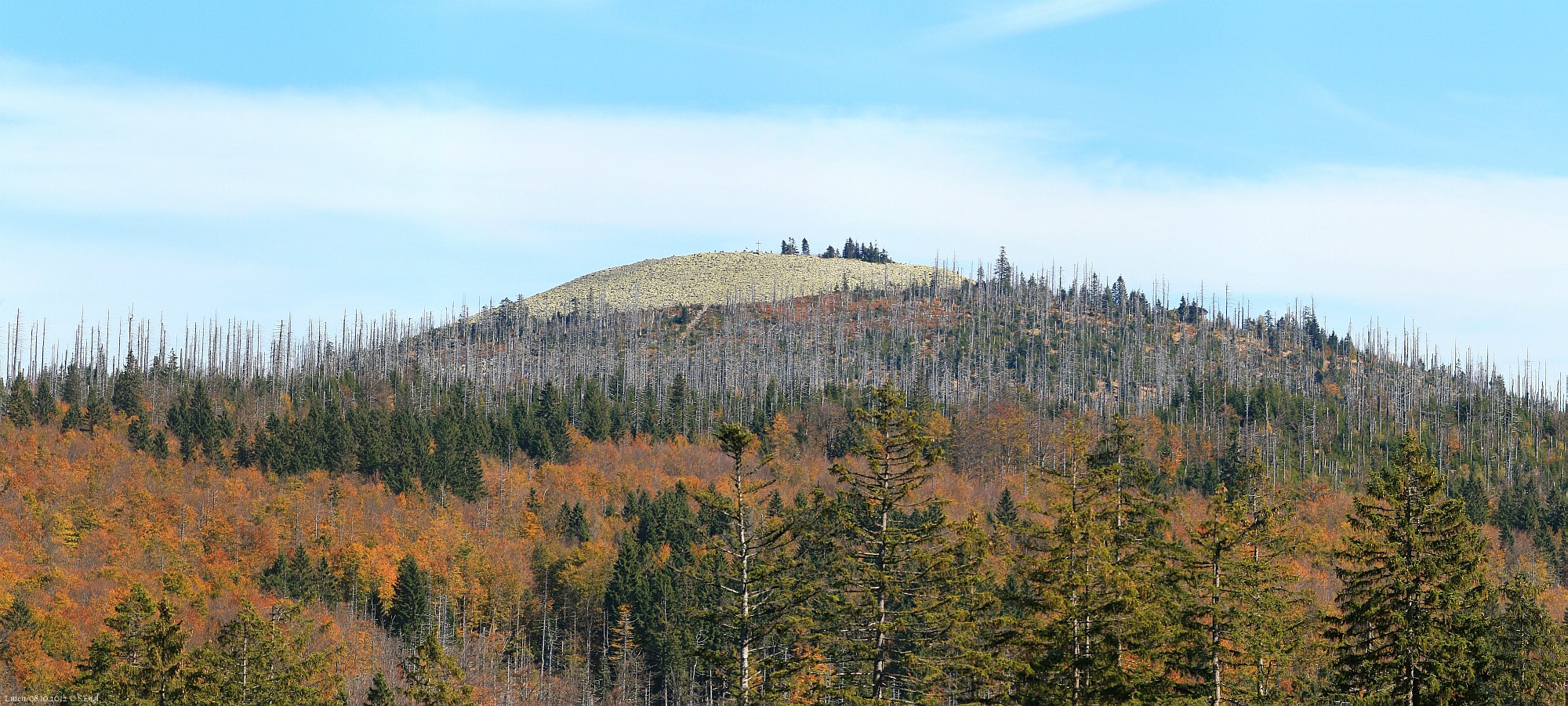 Bayerischer Wald Lusen