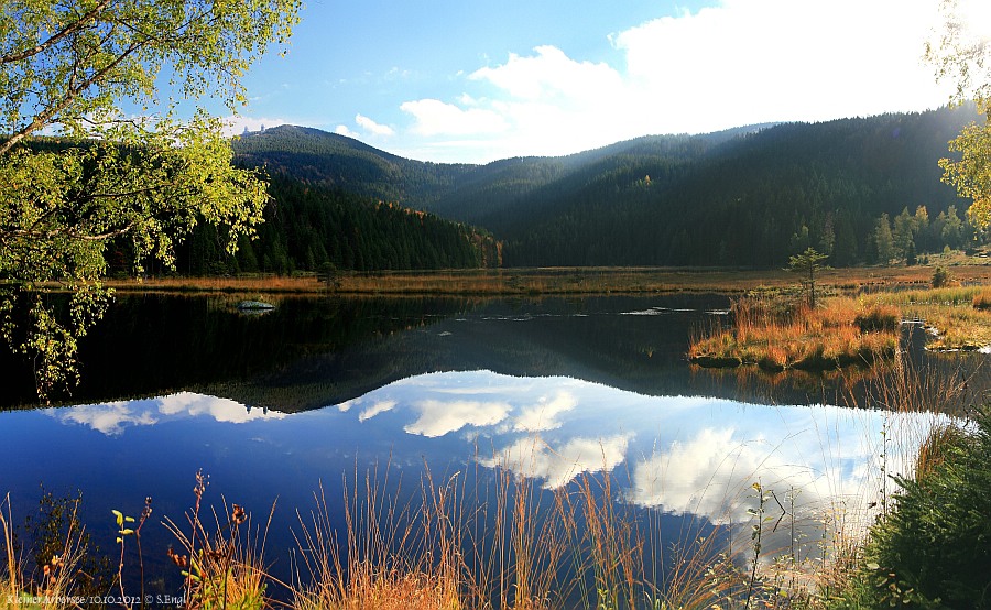 Kleiner Arbersee Panorama