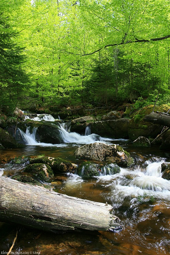Kleine Ohe Nationalpark