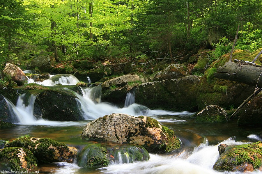 Kleine Ohe Bayerischer Wald