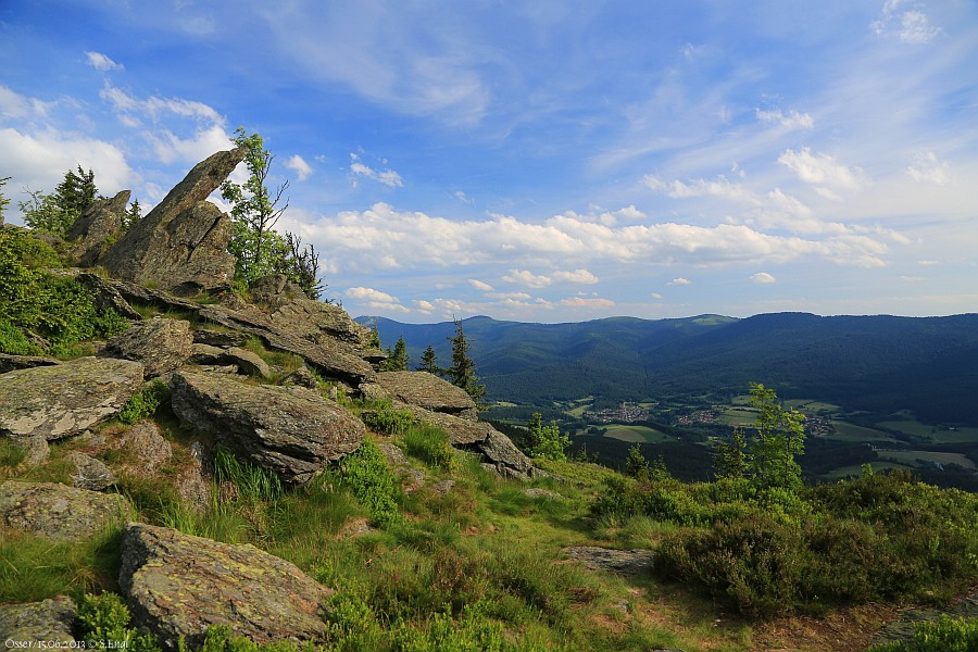 Osserwiese Glimmerschiefer