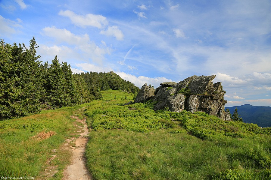 Osserwiese Kleiner Osser