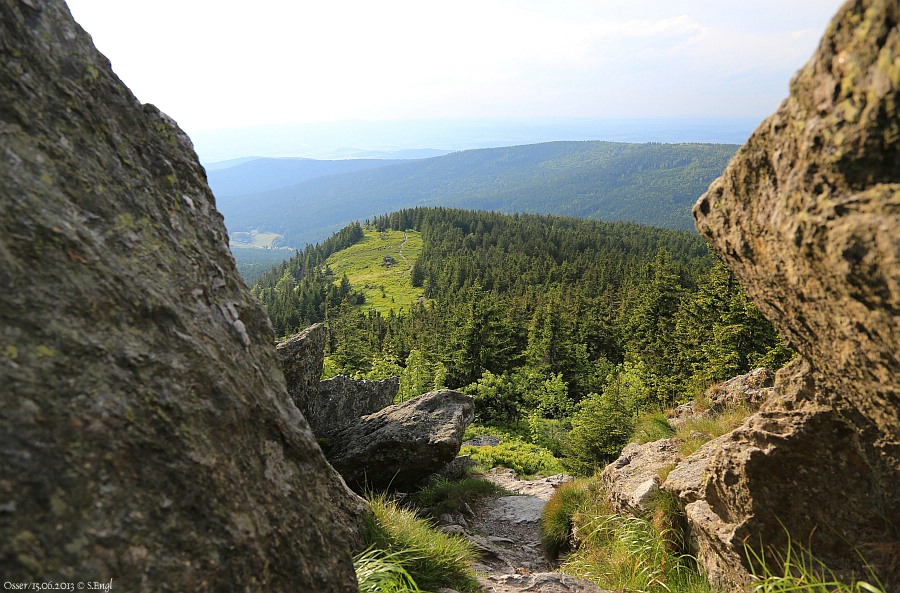 Kleiner Osser Osserwiese