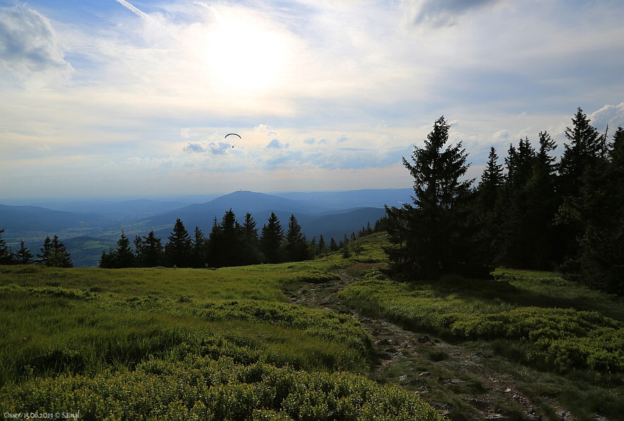 Osserwiese Abendstimmung