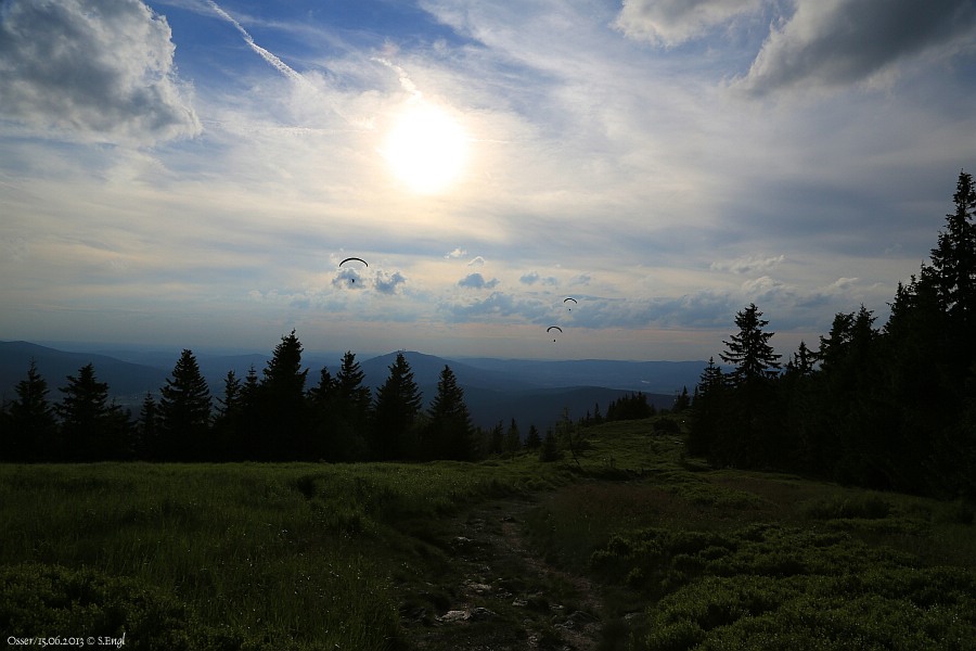 Osserwiese Hoher Bogen