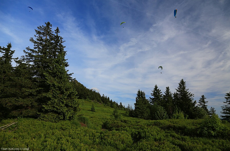 Kleiner Osser Gleitschirmflieger