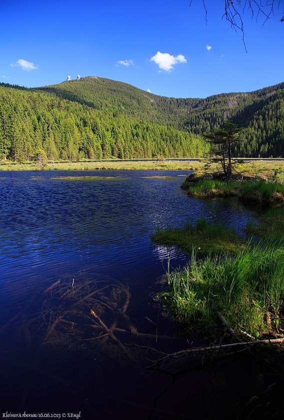 Kleiner Arbersee Sommer