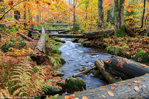 Kleine Ohe Bayerischer Wald