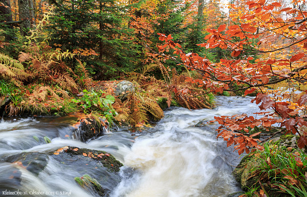 Ohe Bayerischer Wald