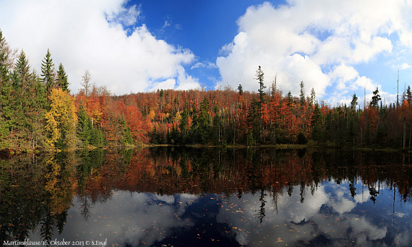 Martinsklause Herbst