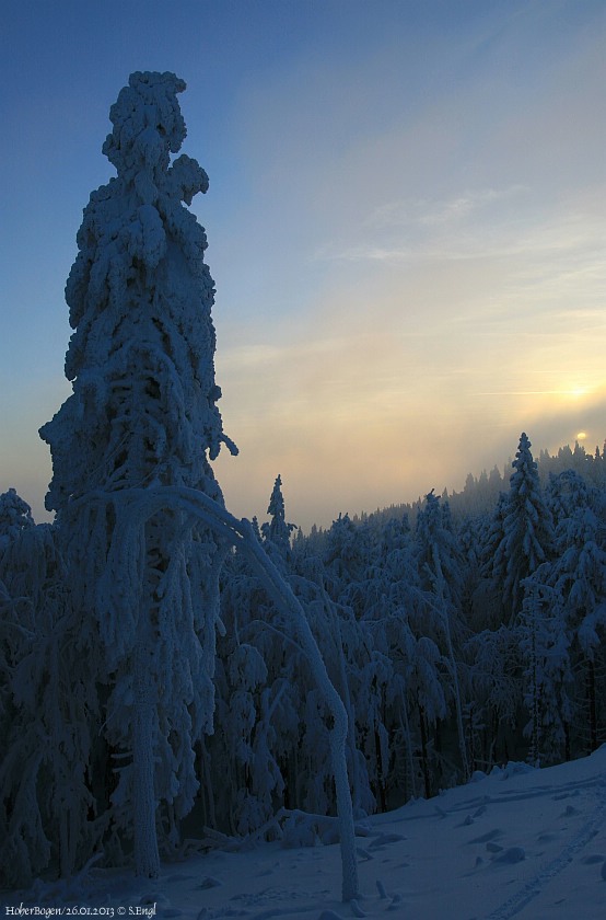 Schwarzriegel Abendstimmung
