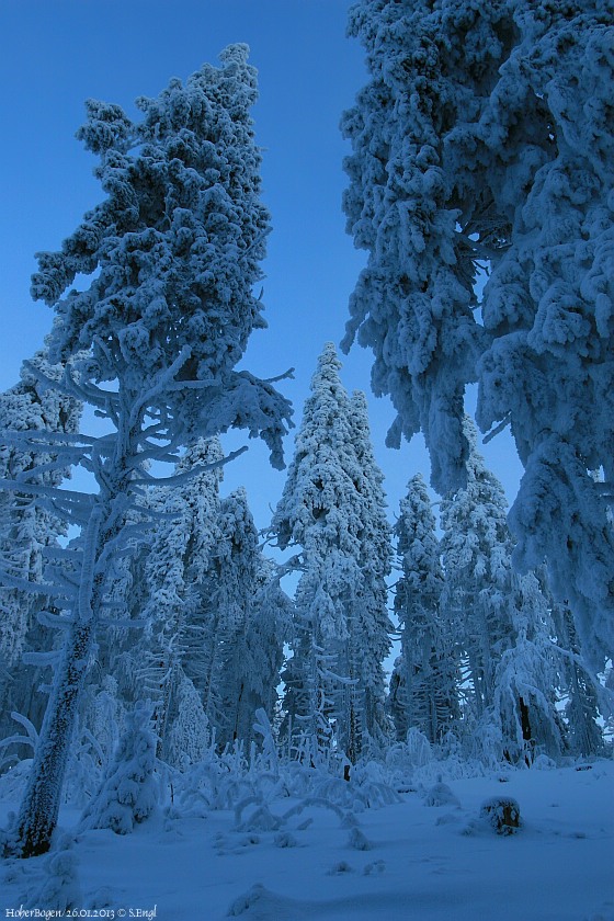 Winter Schwarzriegel