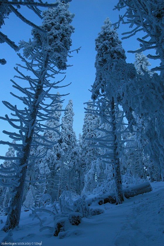 Schnee Schwarzriegel