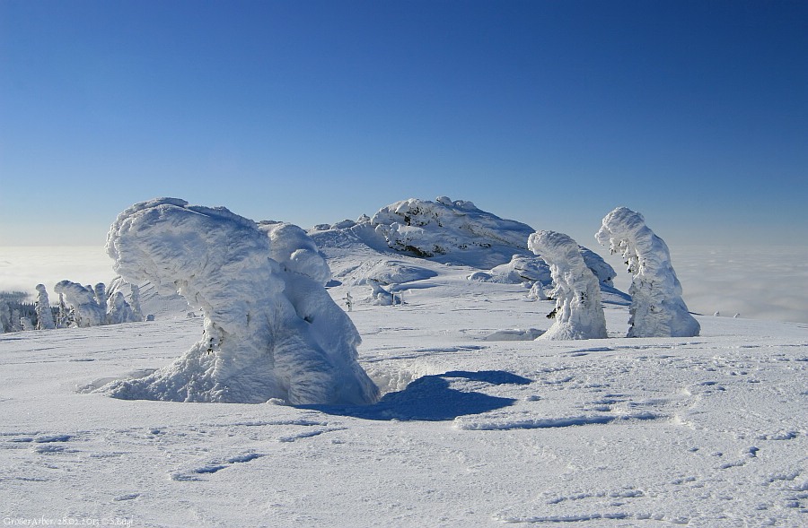 Arbermandl Richard Wagner Kopf