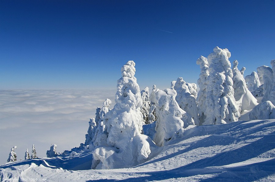 Arbermandl Hochnebel
