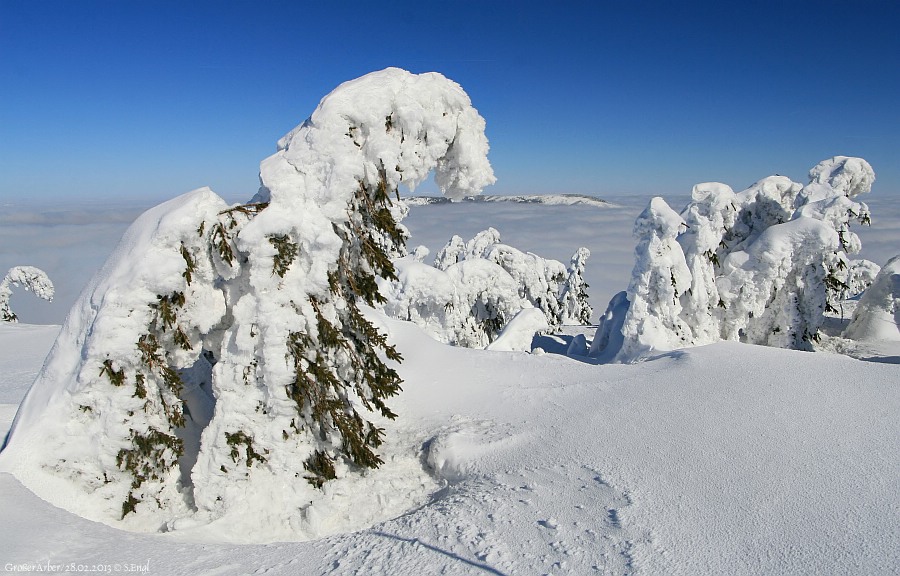 Arbermandl Zwercheck